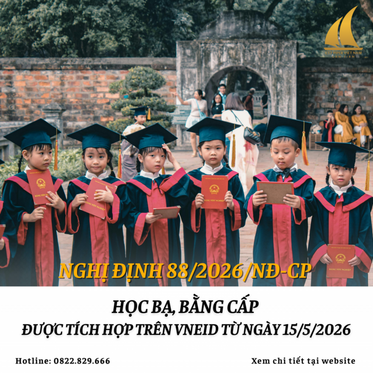 Website 185