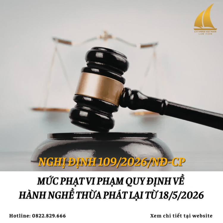 Website 205