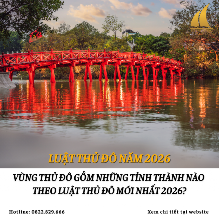 Website 210
