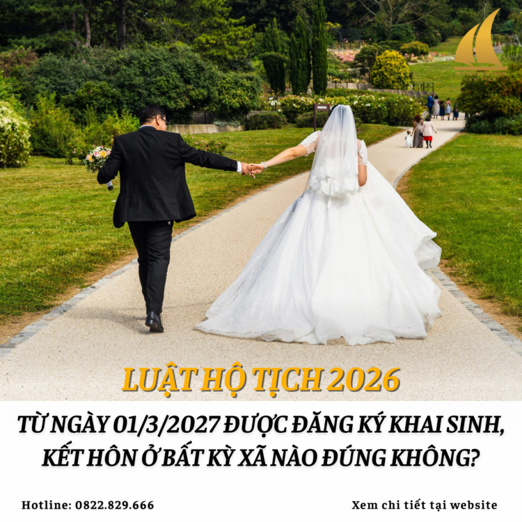 Website 215