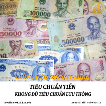 Website 226