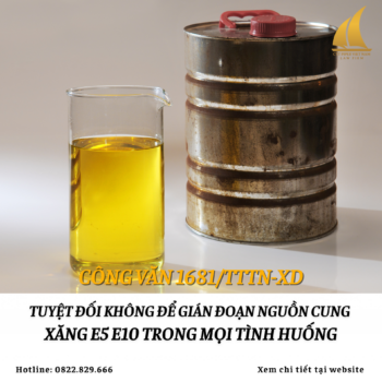 Website 229