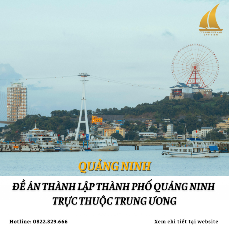 Website 236