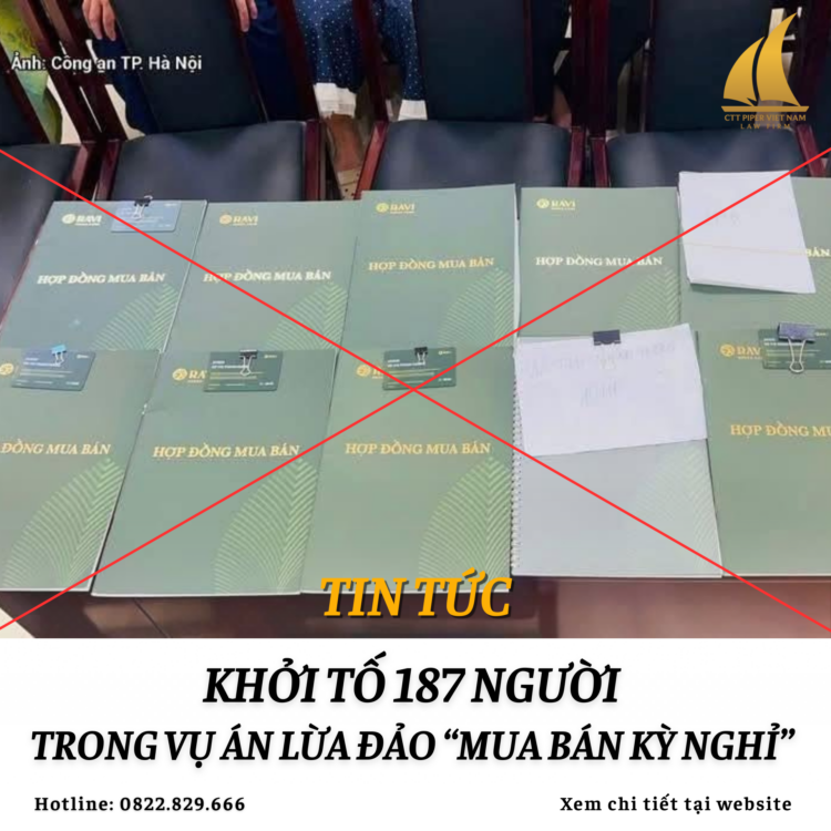 Website 241