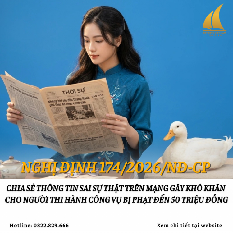 Website 243