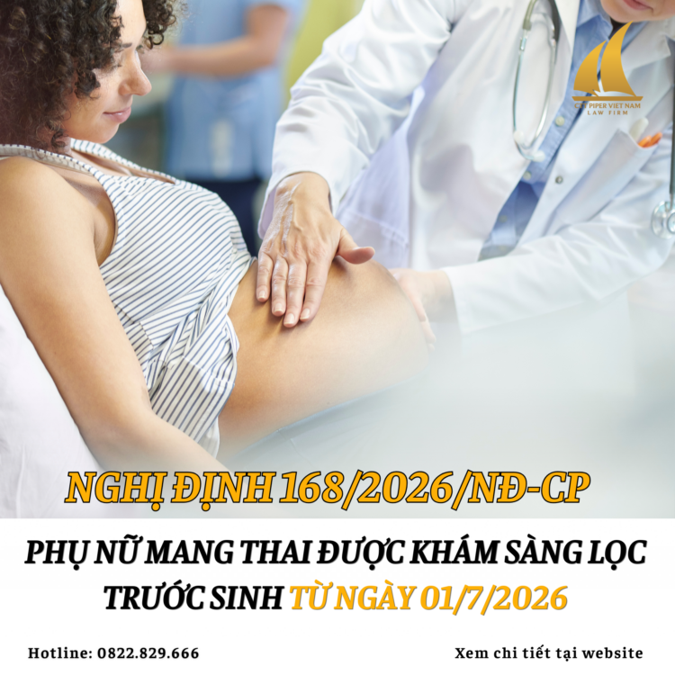 Website 245