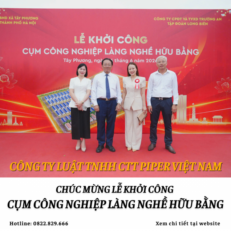 Website 247 1