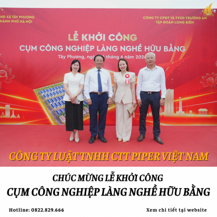 Website 247 2