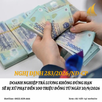 Website 262
