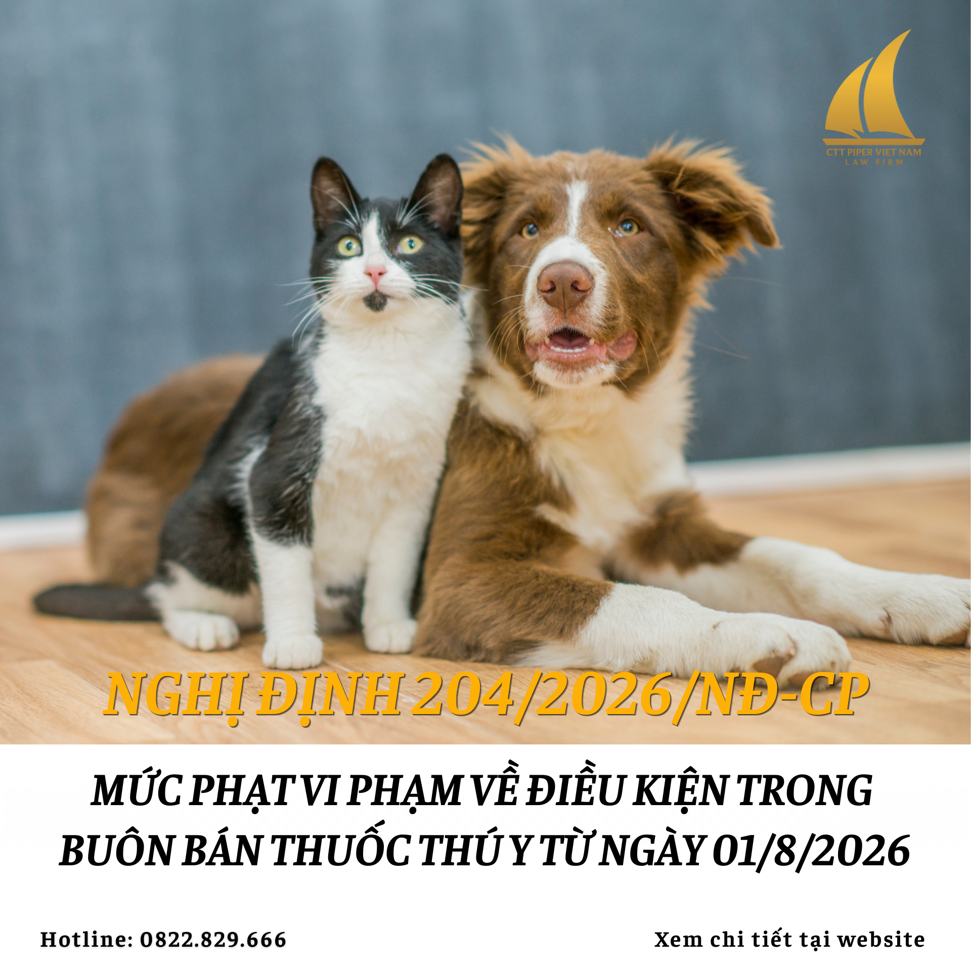 Website 266