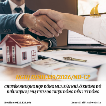 Website 291
