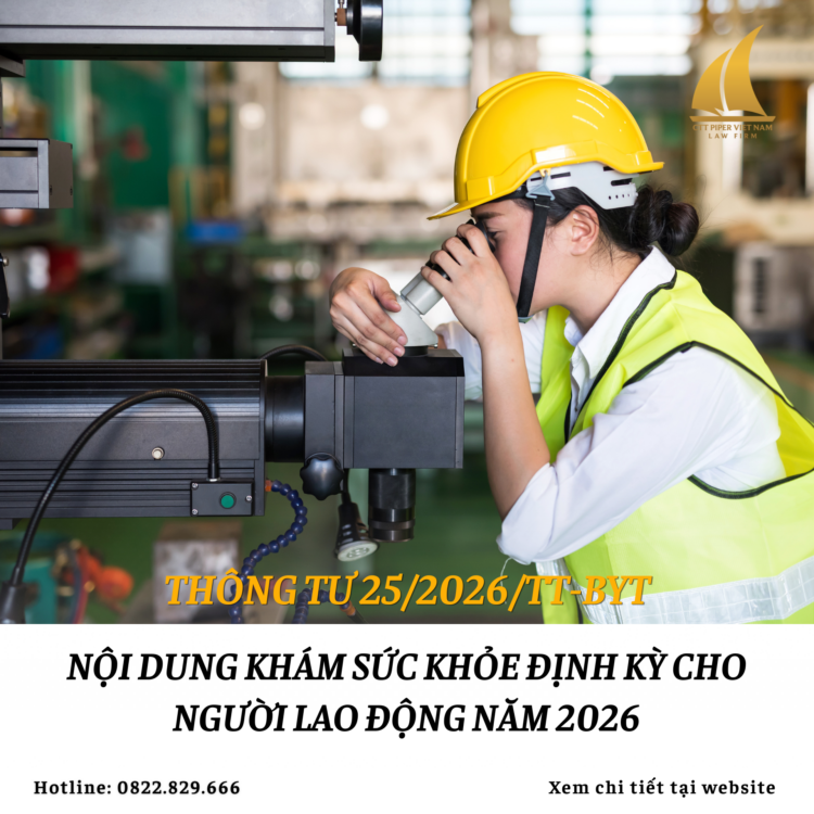 Website 295